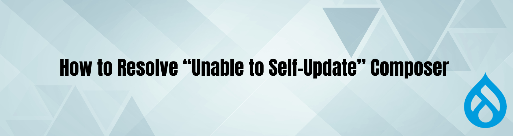 How to Resolve unable to self-update Composer
