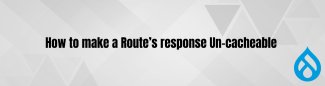 How to make a route's response Un-cacheable